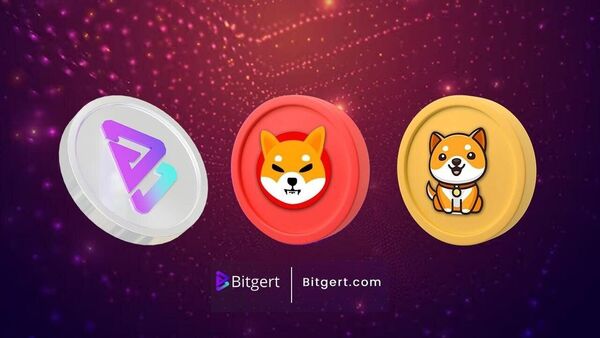 Shib Crypto: Exploring the Power and Potential of the Popular Cryptocurrency